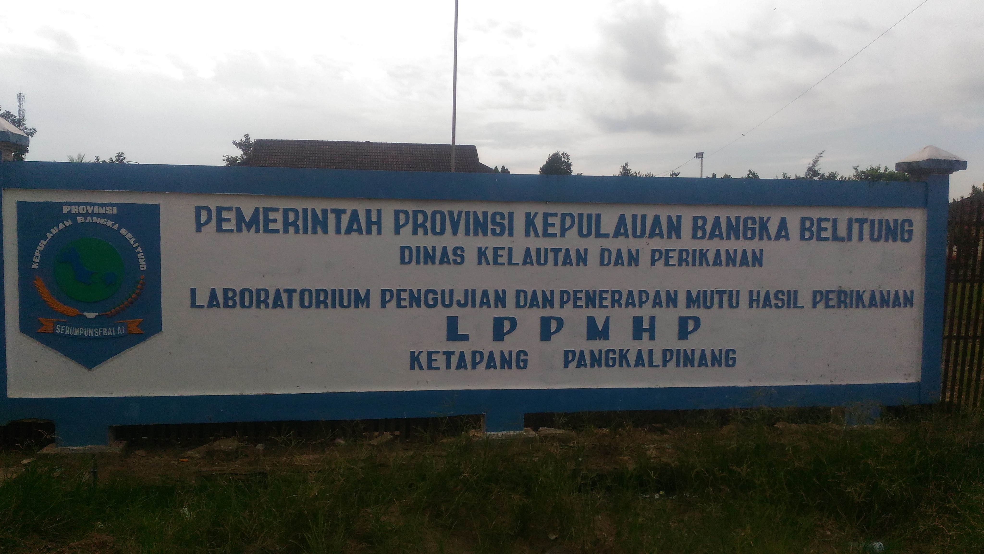 amazing caves coverimage